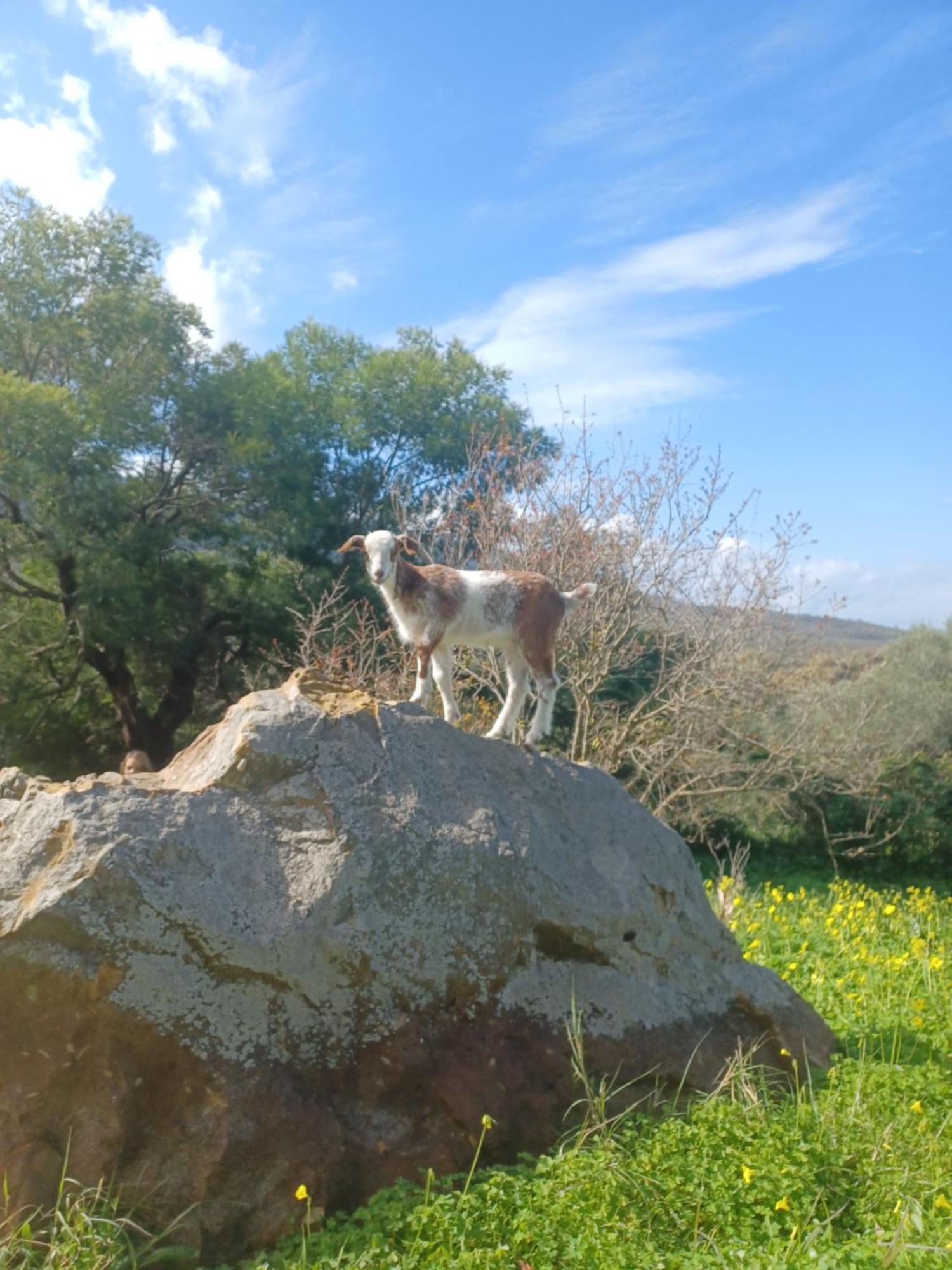 파시나스 Complejo Rural Del Molino Dorado 빌라 외부 사진