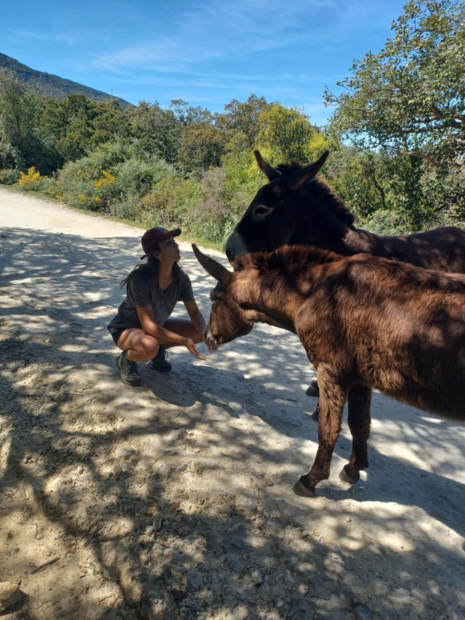 파시나스 Complejo Rural Del Molino Dorado 빌라 외부 사진